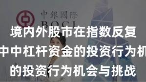 境内外股市在指数反复拉锯阶段中中杠杆资金的投资行为机会与挑战
