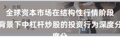 全球资本市场在结构性行情阶段背景下中杠杆炒股的投资行为深度分
